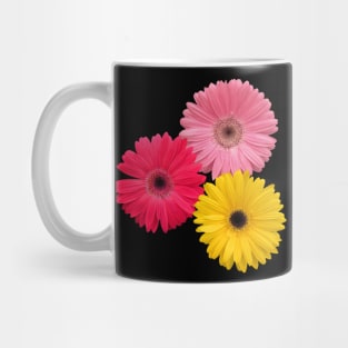 gerbera flowers, daisies, gerberas, daisy, blooms Mug